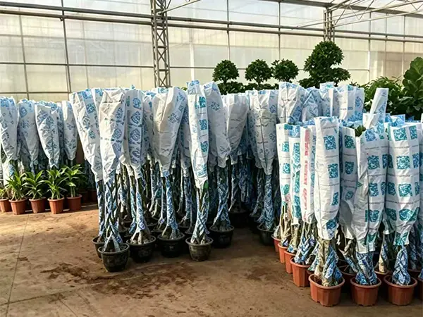 Control and Inspection Control and Inspection